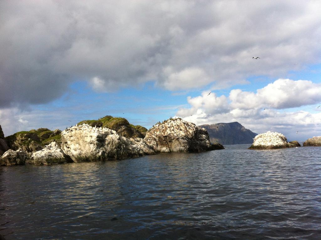 Buodden Rorbuer - Fisherman Cabins Sørvågen Bagian luar foto